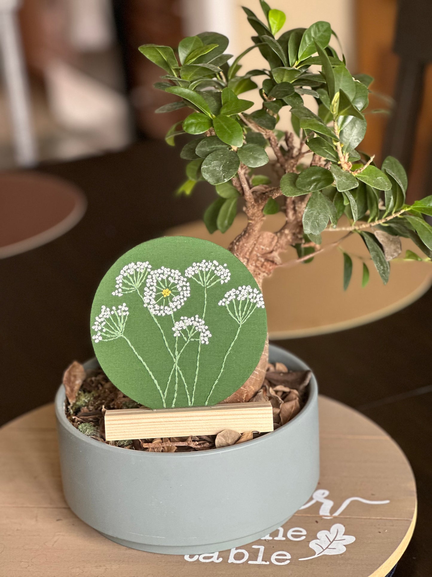 Dandelion - Mounted Discs