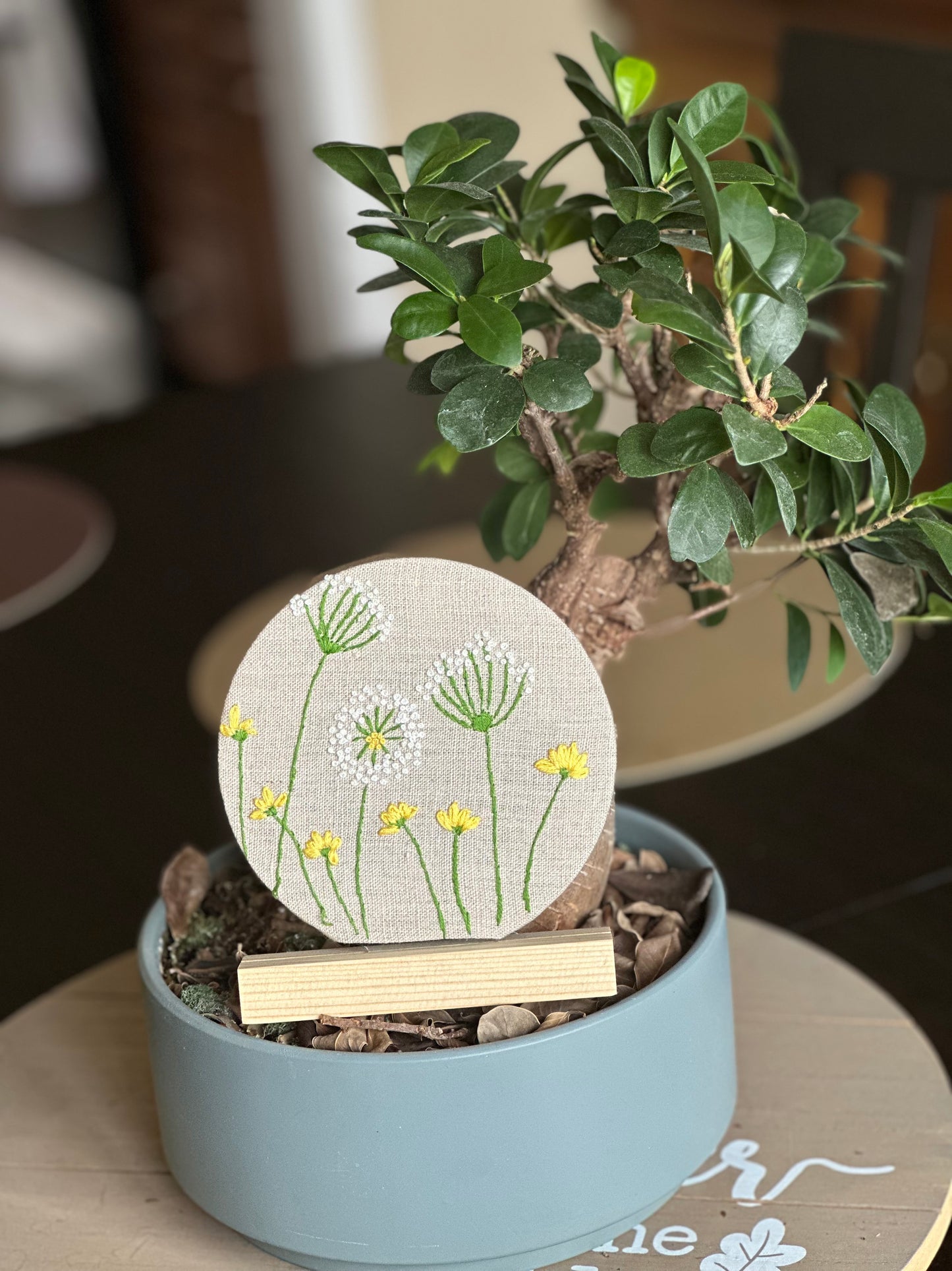Dandelion - Mounted Discs